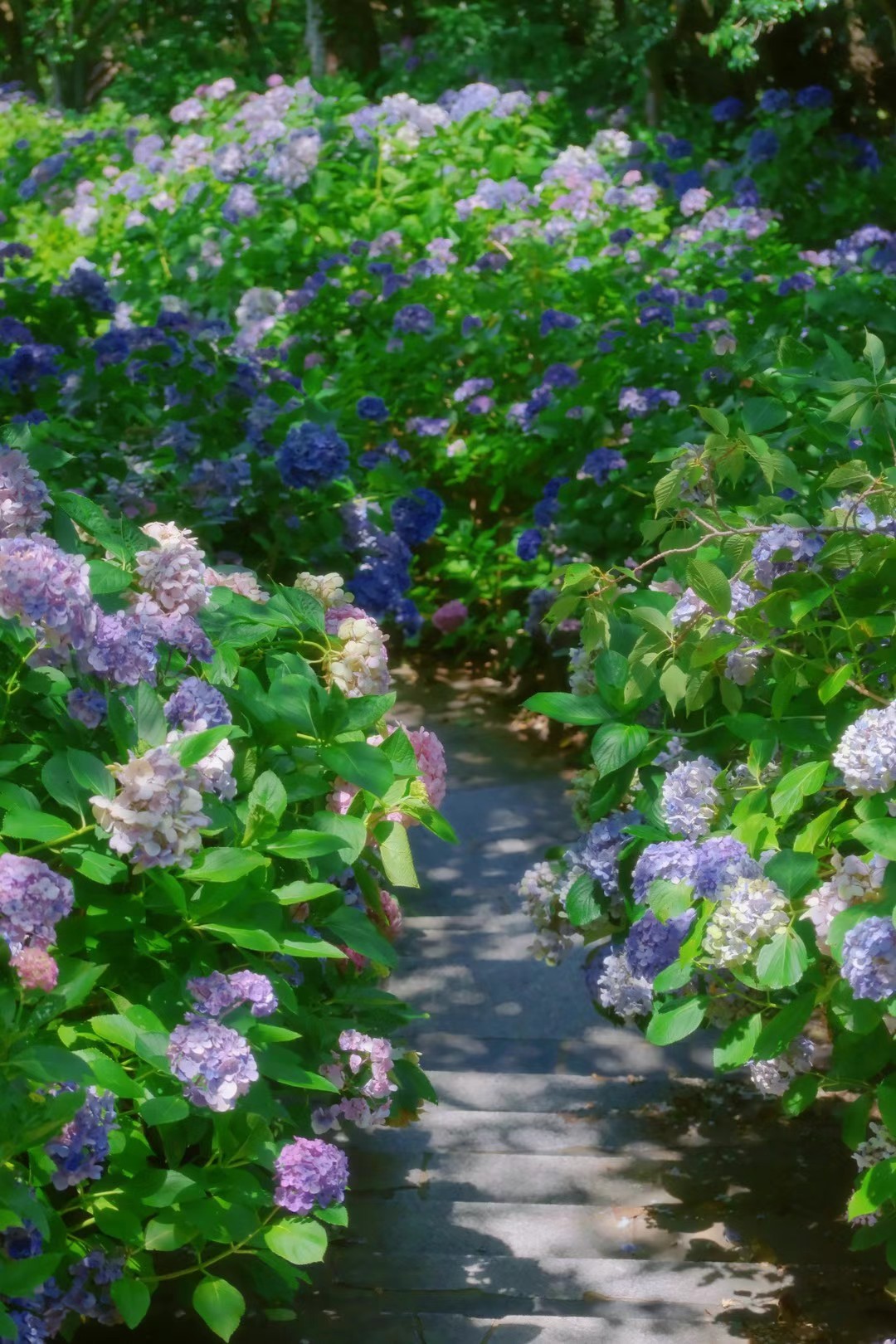 10 (2) from the seasons photography series.